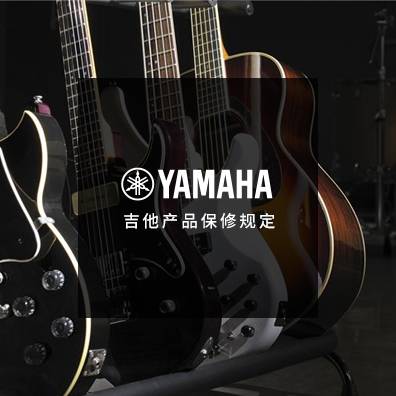 吉他、贝斯和音箱