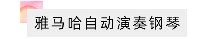 活动报道 | “科技助力，跨越时空”，小鹿纯子携手刘明康共享中日音乐盛宴